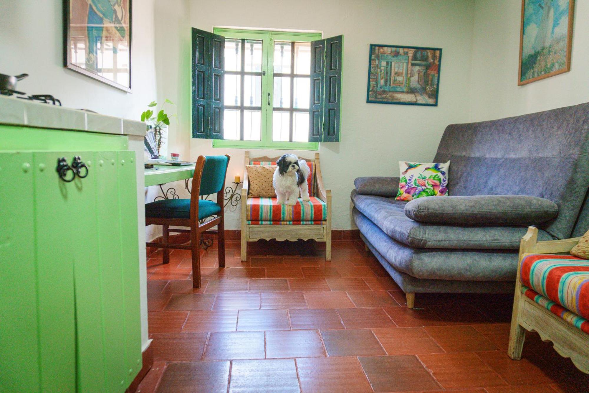 Apartamentos Y Habitaciones Le Colibri - Villa De Leyva Dış mekan fotoğraf